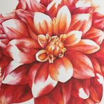 Katie Perrin - @katieperrin.design - Instagram