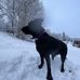 Katie Polzin - Facebook