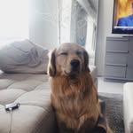 katieraines - @katieraines - Instagram