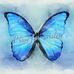Katie Raynor - Facebook
