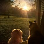 Katie - @katie_rector15 - Instagram