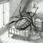 Katie O - @katieredacted - Instagram
