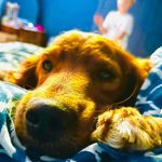 Kate Redfern - @kmred5 - Instagram