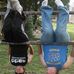 Katie Reding - Facebook