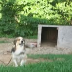 Katie Rohrbaugh - Facebook