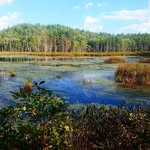 Katie Rohrbaugh - @pigeonsadventurephotography - Instagram