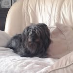 Katie Rolfe - @amazingrolfe - Instagram