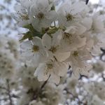 Katie Roper - @katies64 - Instagram