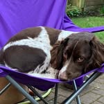 Katie - @katierules007 - Instagram