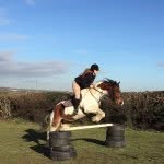 Katie Rutter - @_equine_riding - Instagram