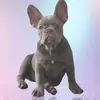 Kat - @katiesamuels880 - TikTok