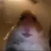 Katie Samuel619 - @fishykid17 - TikTok