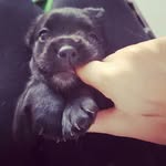 Katiesavings - @katiesavings - Instagram