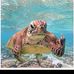 Katie Schadel - Facebook