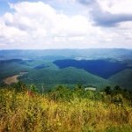 Katie Scheetz - @kt4of4 - Instagram