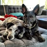 Katie Schell - @roxandax - Instagram