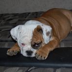 Katie Schipper - Facebook