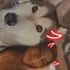 katieschmitz24601 - @katieschmitz24601 - TikTok