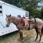 Katie Schuler - @boymama_kk - Instagram