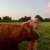 katieschulerr - @katieschulerr - TikTok