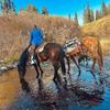Katie Sealey - @katie.sealey - TikTok