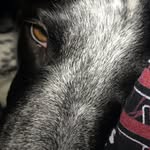 Katie Shutt - @kittykat62085 - Instagram
