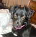 Katie Silcox - Facebook