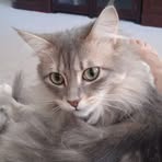 Katie Sinquefield - Facebook