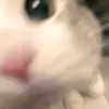 katie - @katieskiizz - TikTok