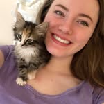 Katie’s Kittenz - @katieskittenz - Instagram