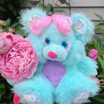 Katie's Kitty's! - @katieskittykittykittens - Instagram