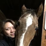 Katie Slade - @ladyslade_withfur - Instagram