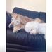 Katie Socha - Facebook