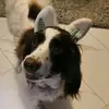 Katie Spadafore - @katiespadafore - TikTok
