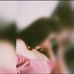 Katie Spears - Facebook
