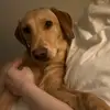 Katie - @katiesprings - TikTok