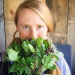 Katie Spring 🌱 - @goodheartfarmstead - Instagram