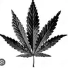 katiestarcher4 - @its_katie420 - TikTok