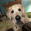 Katie Stephan - @katiestephan3 - TikTok