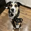 Katie Stock - @katie.stock6 - TikTok