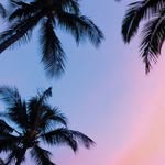 Katie Swing - @katie_swing - Instagram