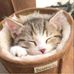 Katie Tan - Facebook