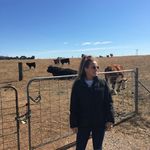 Kate Tesch - @busybeingjill - Instagram