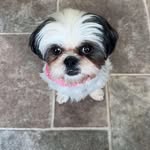 Katie Tilson - @kjtilson - Instagram