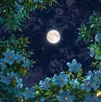 Katie Travis - Facebook