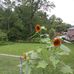Katie Venable - Facebook