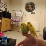 Katie Warwick - @katie.warwick.77 - Instagram