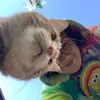 Katertot - @katie_wegner - TikTok
