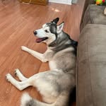 Katie Weimer - @weimer6717 - Instagram