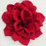 Katie Weir - @dream.on.lovelies - Instagram